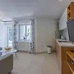 In 42446 *